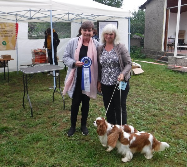 KV 2020-I, 11.7.2020, Městec Králové